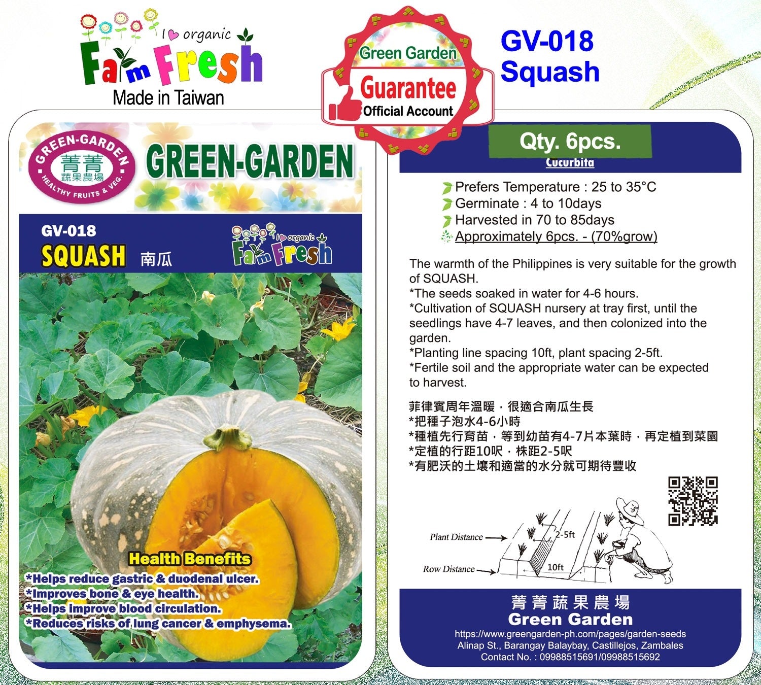 Green Garden Vegetable Seeds (GV-018 Squash)