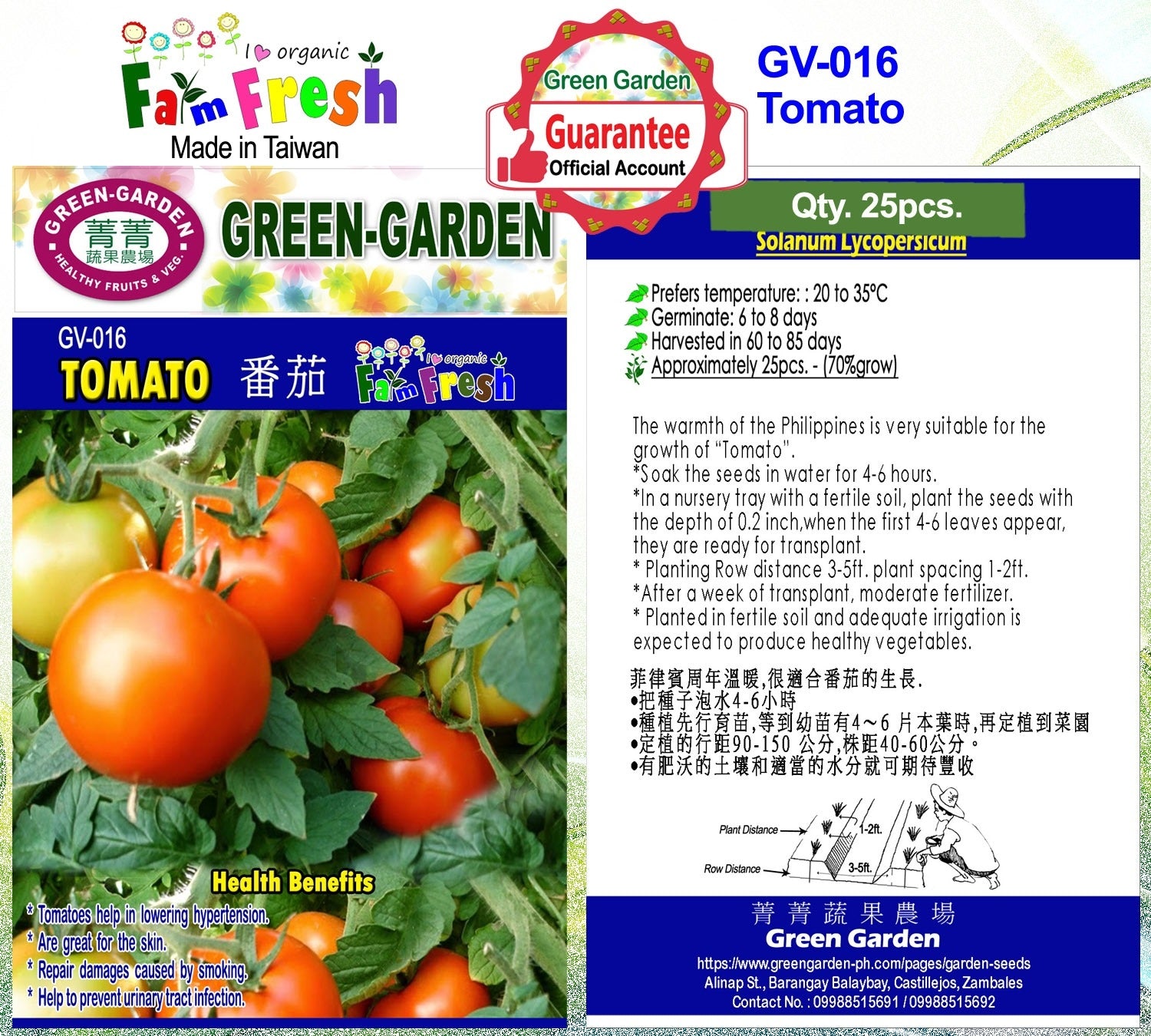 Green Garden Vegetable Seeds (GV-016 Tomato)