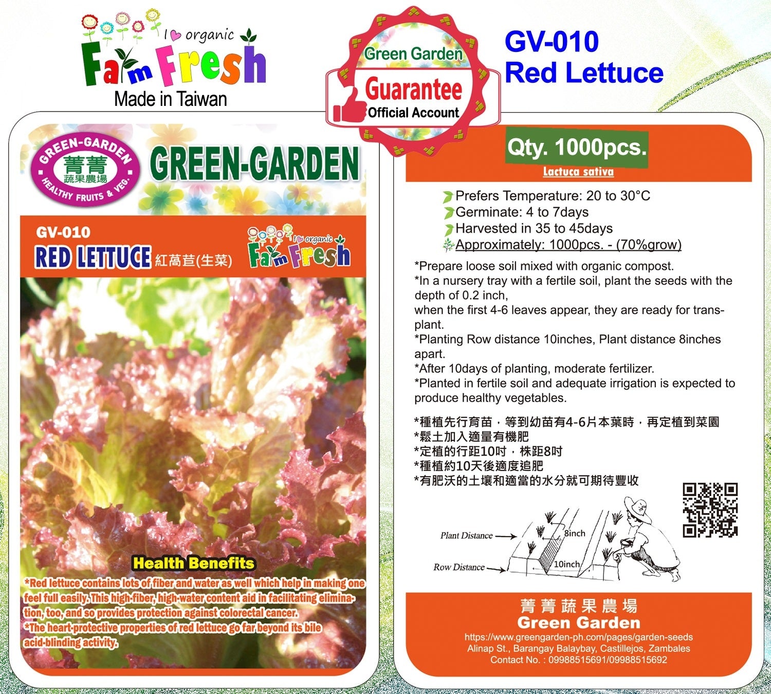 Green Garden Vegetable Seeds (GV-010 Red Lettuce)