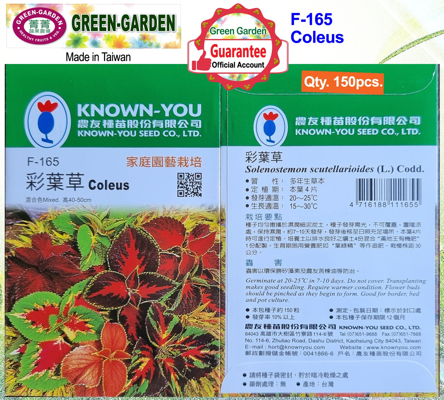 Known You Flower Seeds (F-165 Coleus)