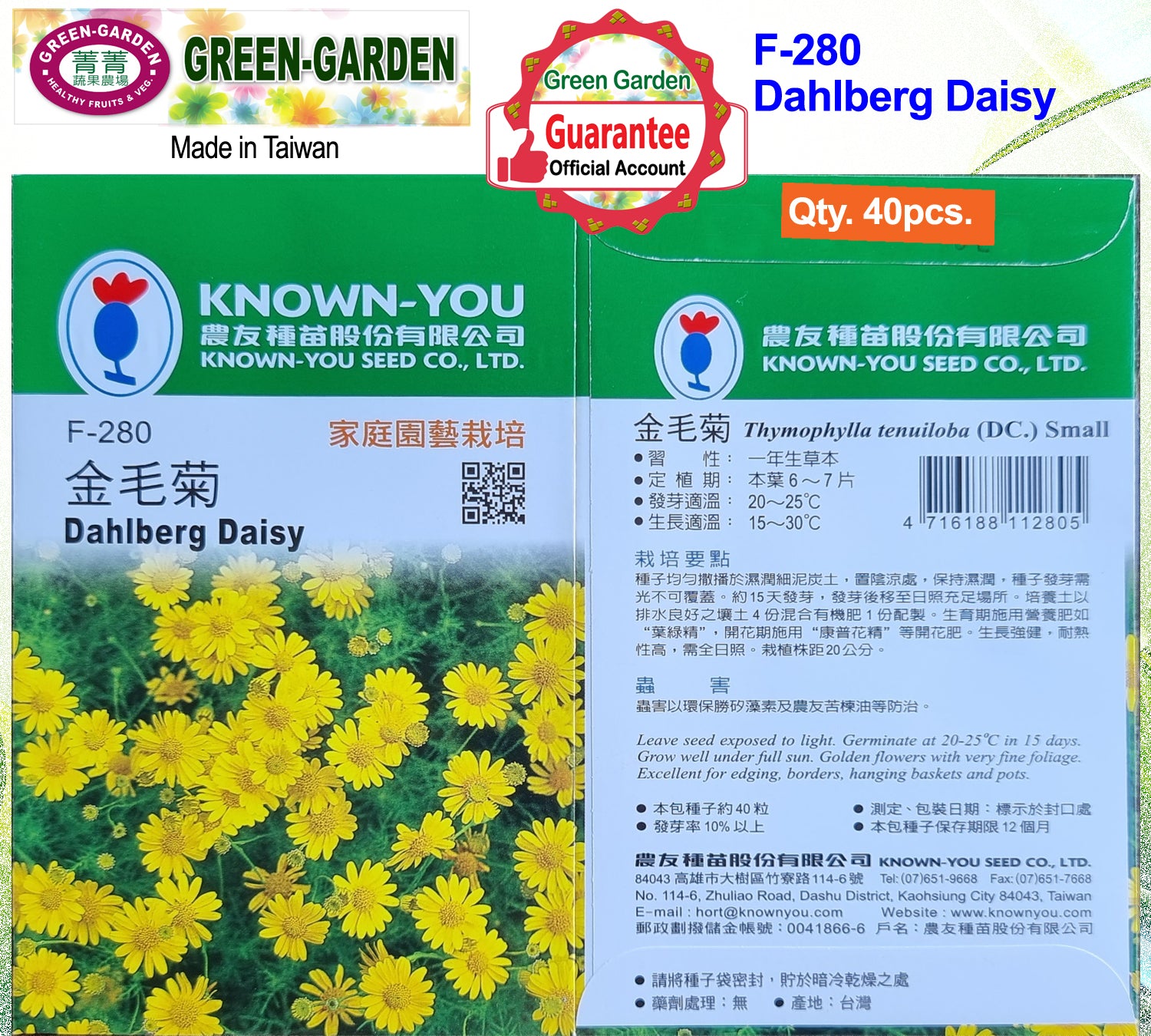 Known You Flower Seeds (F-280 Dahlberg Daisy)