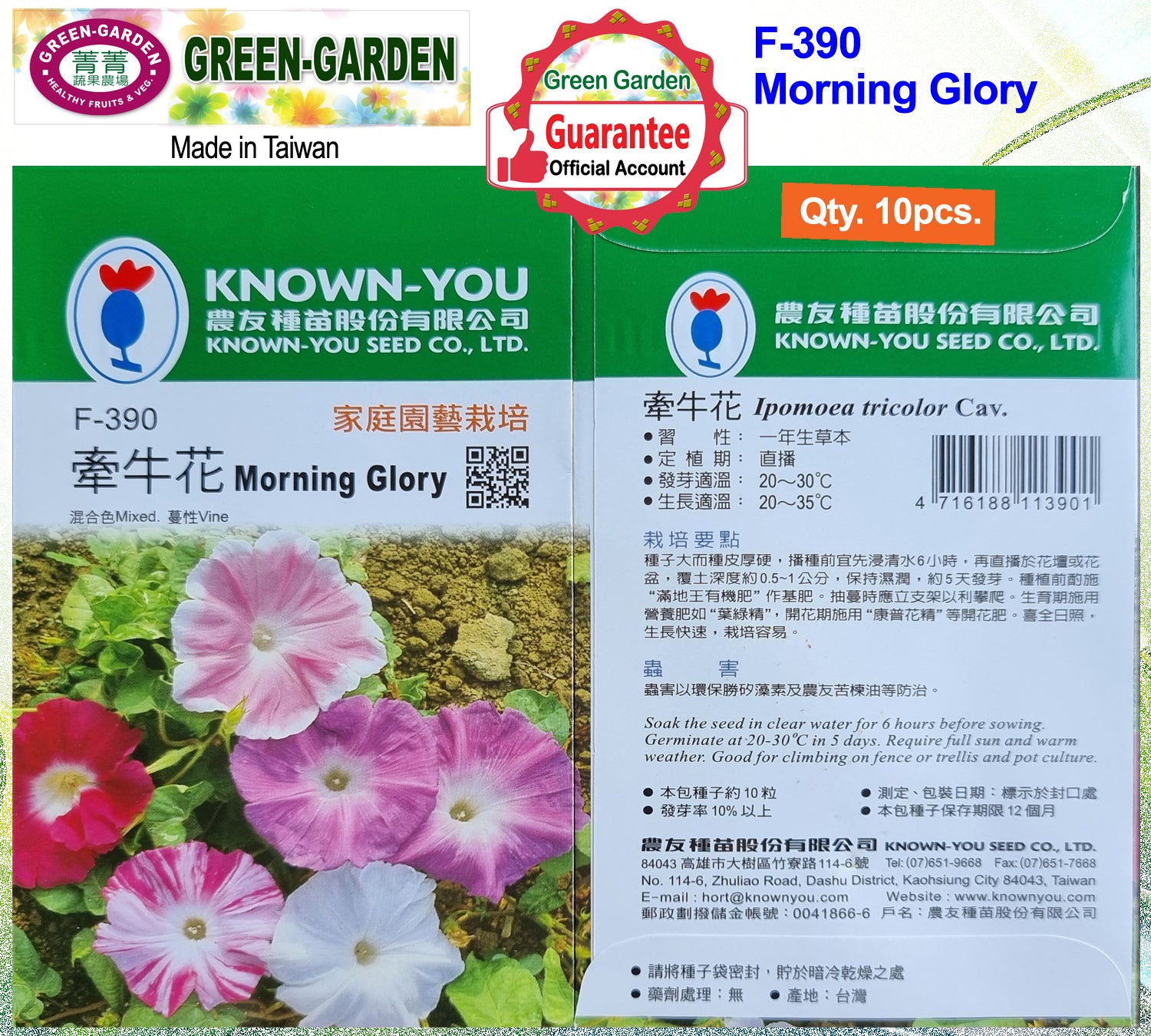 Known You Flower Seeds (F-390 Morning Glory)