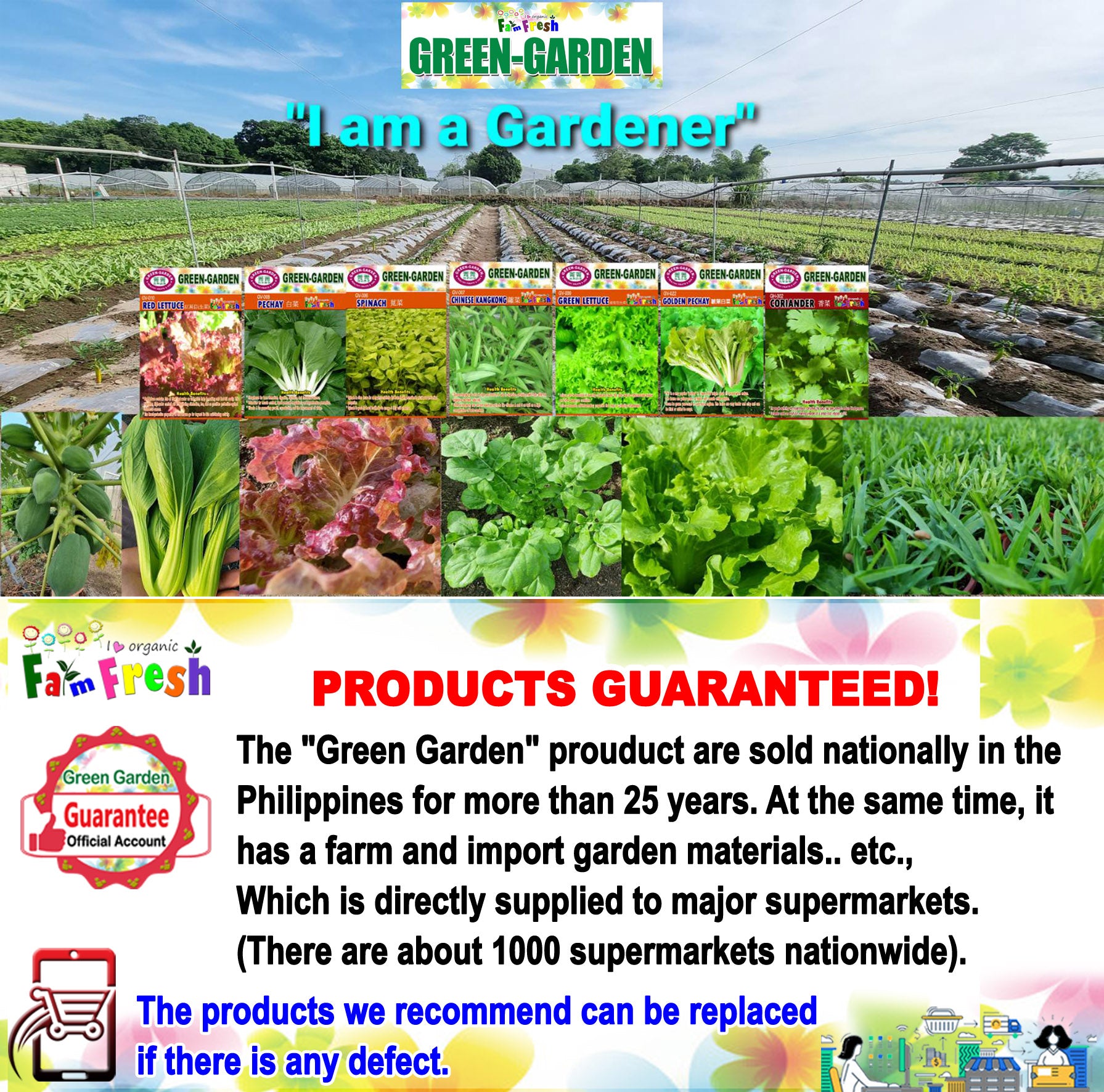 Green Garden Vegetable Seeds (GV-009 Green Lettuce)