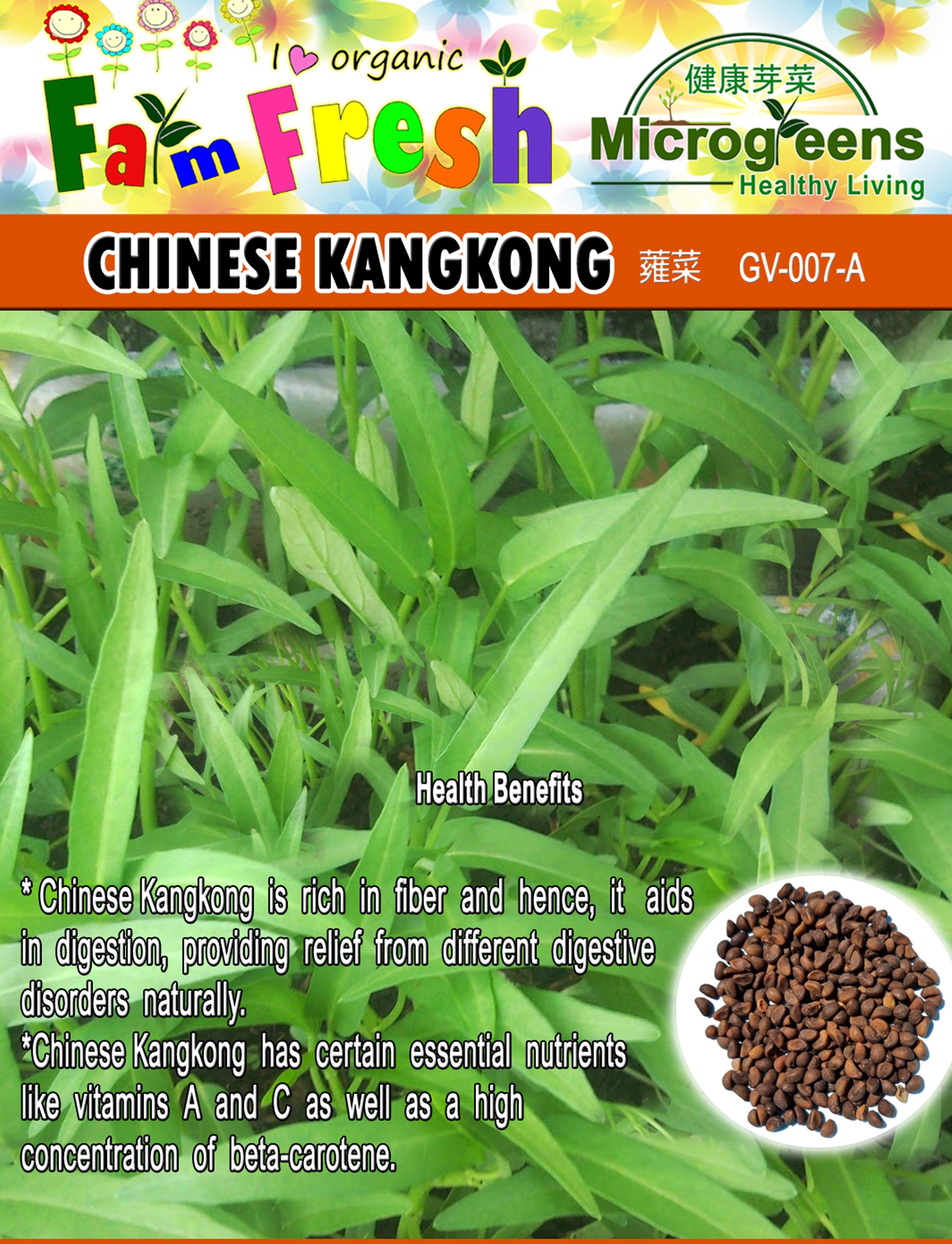 Kangkong Seeds (Herbs & Vegetable Seeds , Larger Packed)