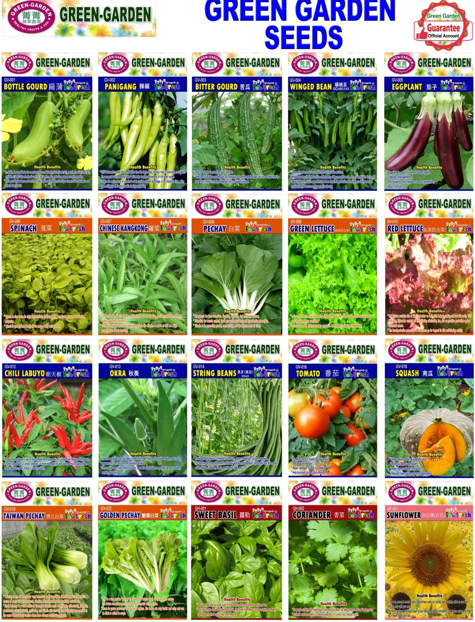 Green Garden Vegetable Seeds (GV-019 Taiwan Pechay)