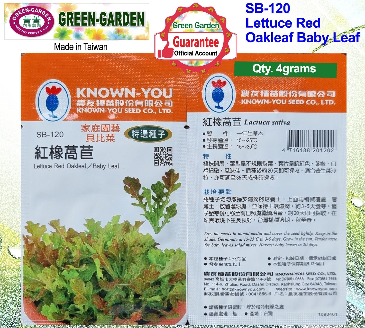 Known You Special Seeds (SB-120 Lettuce red Oakleaf/Baby Leaf)