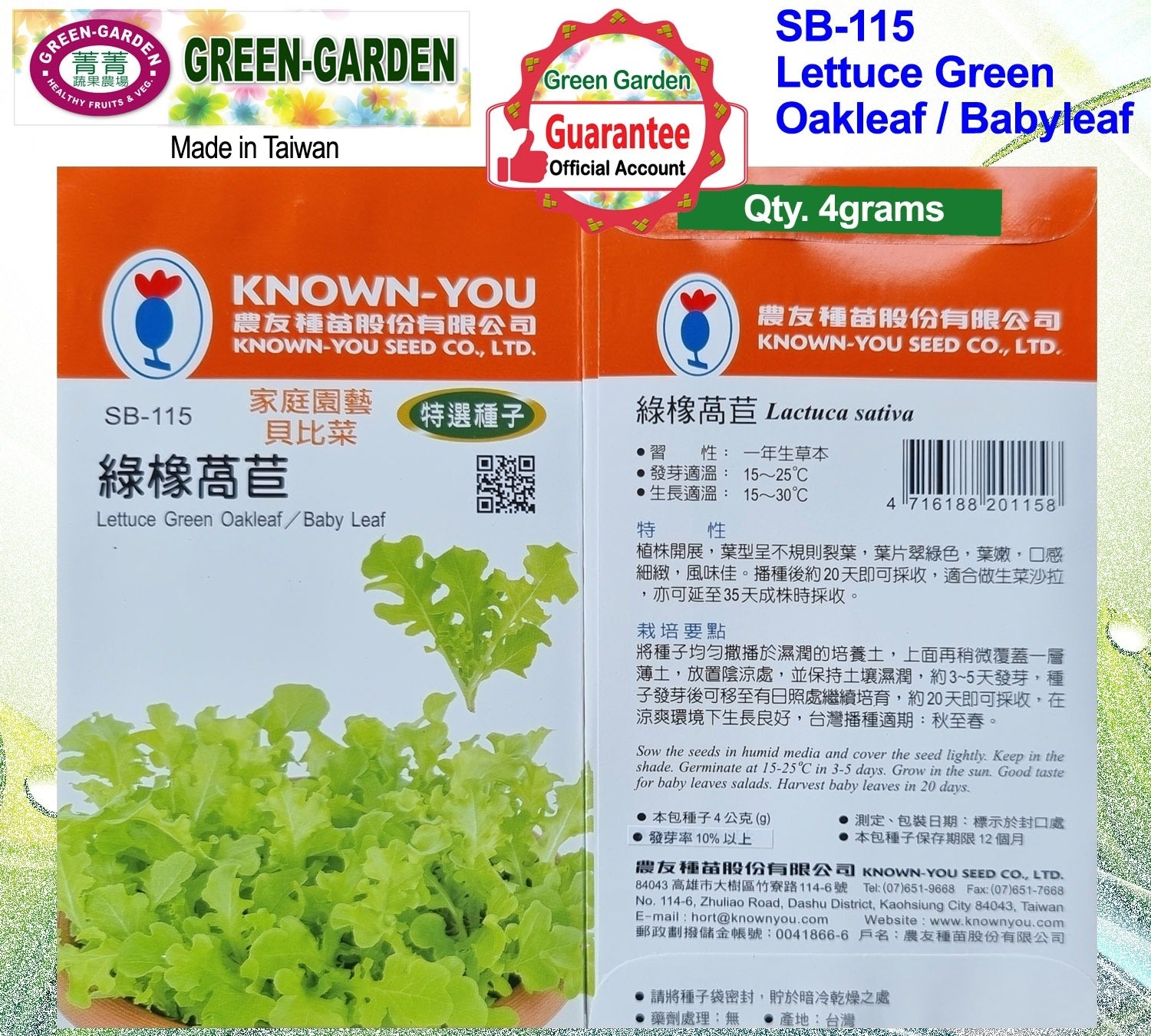 Known You Special Seeds (SB-115 Lettuce Green Oakleaf/Baby Leaf)