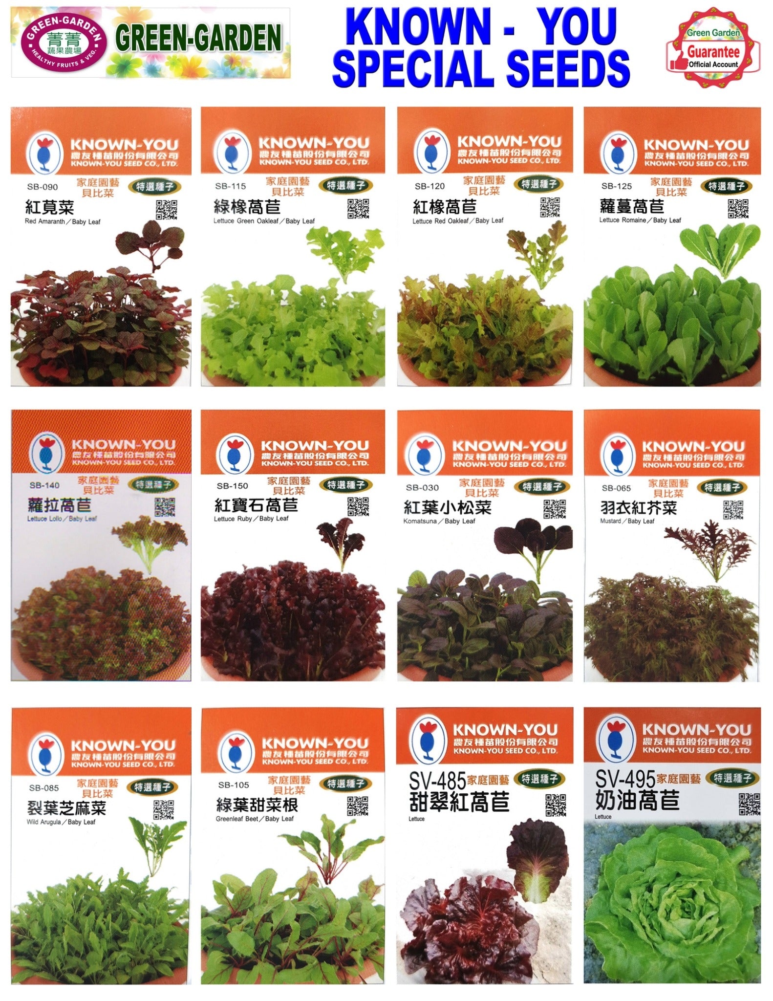 Known You Special Seeds (SV-510 Chinese Cabbage (red))