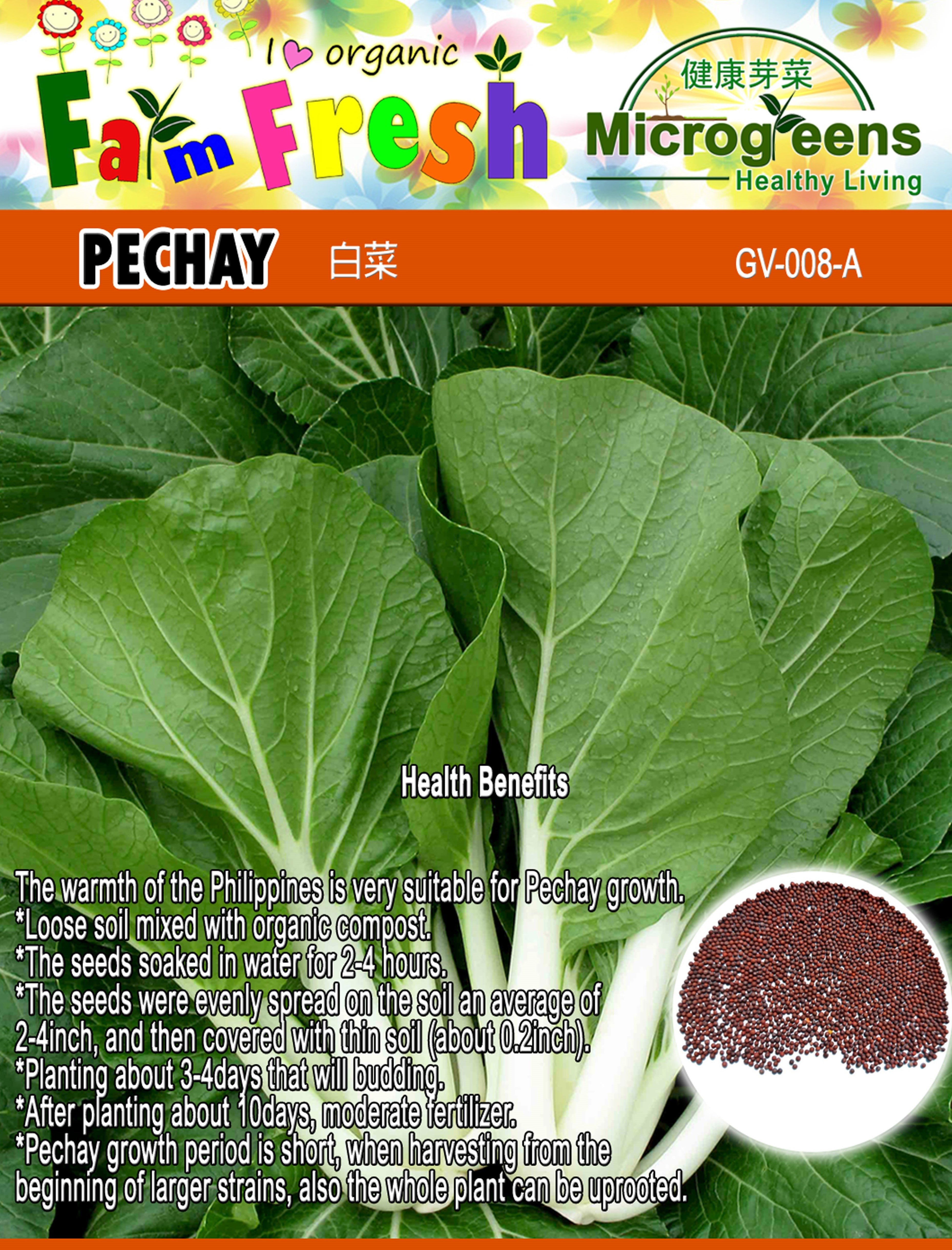 Native Pechay Seeds (Herbs & Vegetable Seeds , Larger Packed)