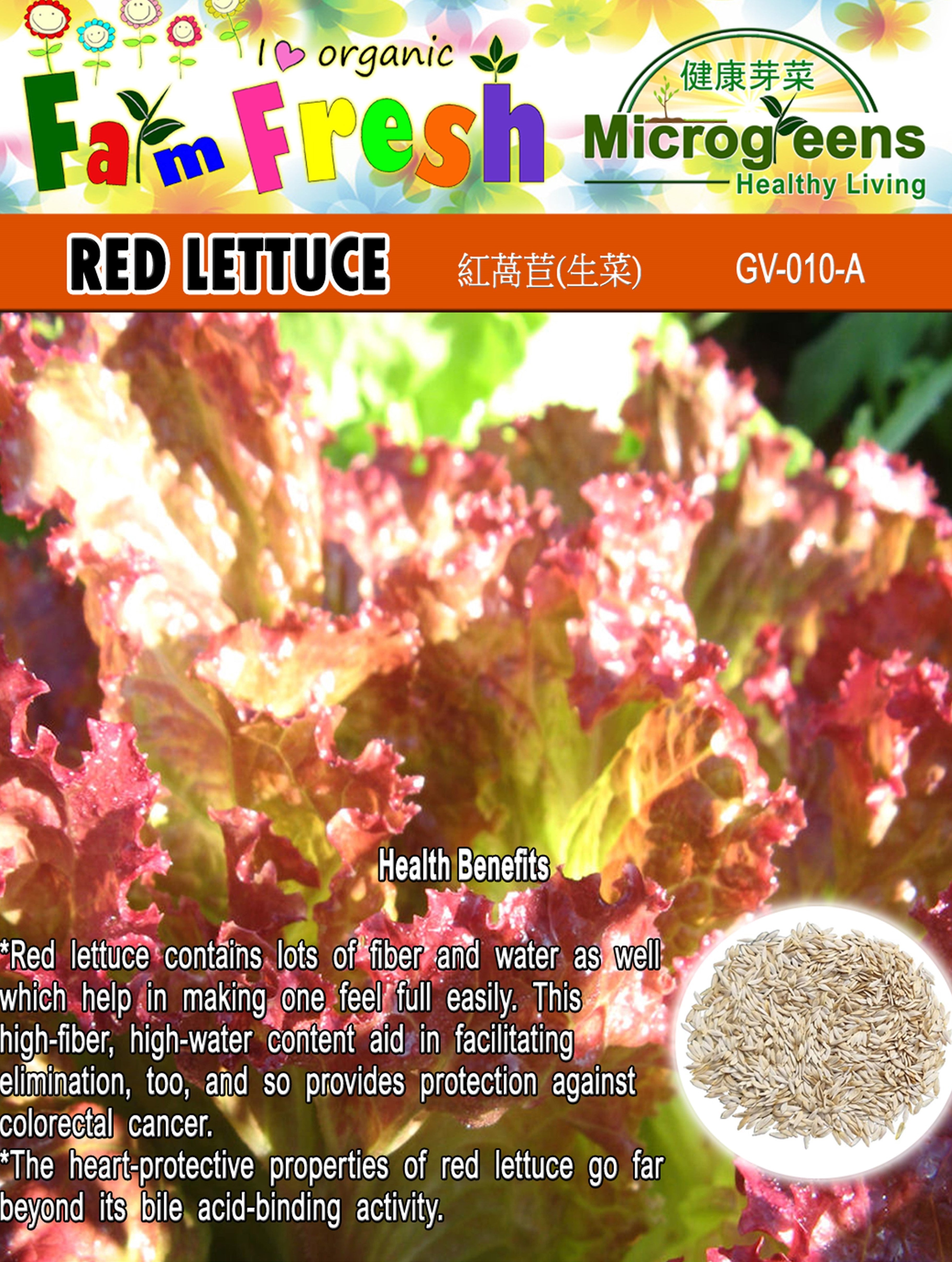 Red Lettuce Seeds (Herbs & Vegetable Seeds , Larger Packed)