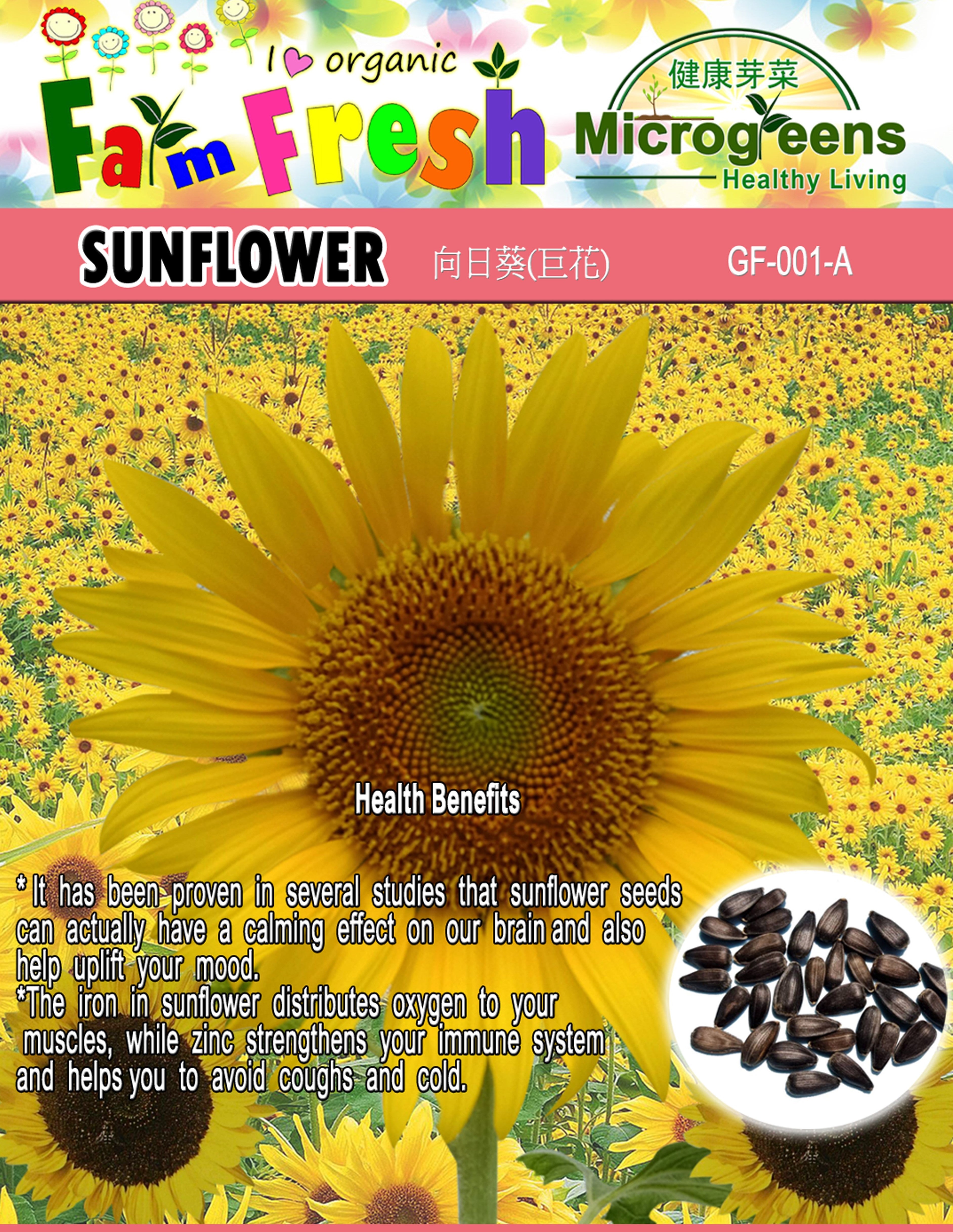 Sunflower Seeds (Herbs & Vegetable Seeds , Larger Packed)